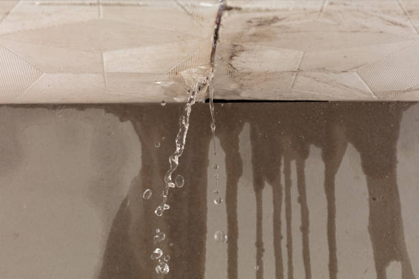 Professional Water Damage Inspection technician working in Foster, WV